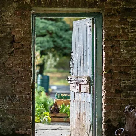 Szálloda Castle Grove 4*
