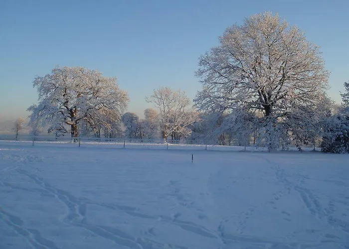 Hotel Castle Grove 4*