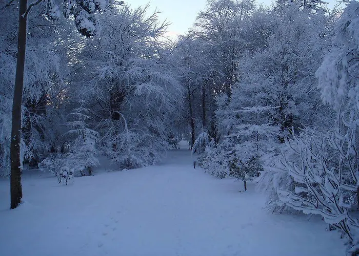 Hotel Castle Grove 4*